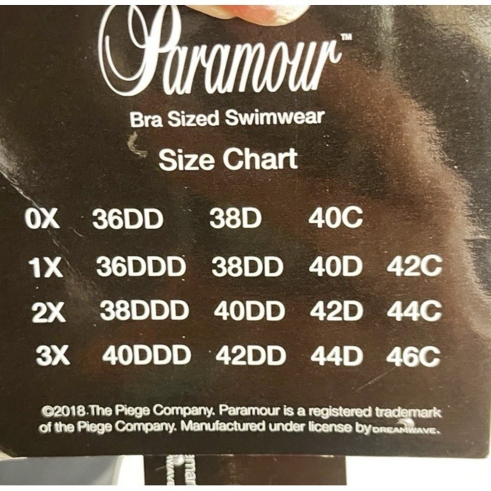 NWT Paramour One‑Shoulder Mesh Detail Underwire Swimsuit Black Plus 0X 36DD 38D - Picture 4 of 10